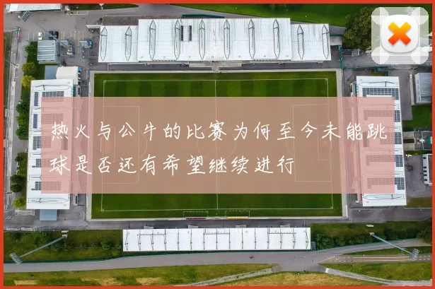 热火与公牛的比赛为何至今未能跳球是否还有希望继续进行