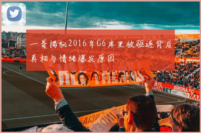 一哥揭秘2016年G6库里被驱逐背后真相与情绪爆发原因